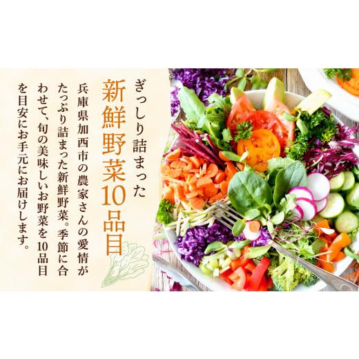 ふるさと納税 兵庫県 加西市 加西市産　季節の野菜詰め合わせセット
