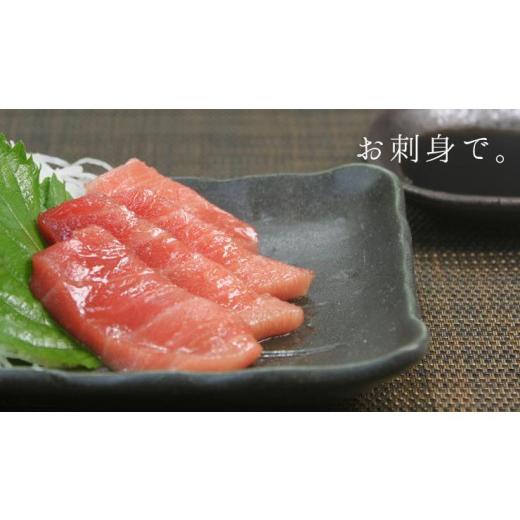 ふるさと納税 福島県 いわき市 本マグロ中トロ300g　解凍レシピ付　1サクずつ真空包装  脂の甘みと濃厚赤身が絶妙なバランス