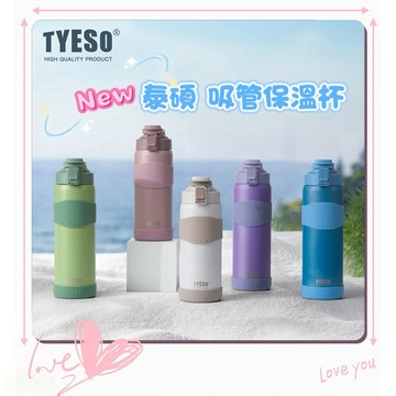 森senの舖★ Tyeso泰碩吸管保溫瓶 吸管保溫杯 保冰杯 運動保溫杯 戶外吸管杯 運動壺 戶外保冰瓶 保冰壺 保溫瓶