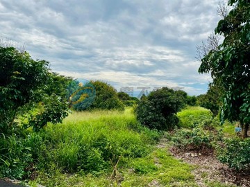 專任~彰化芬園@寶山國小旁2.3分平坦農地｜彰化縣芬園鄉圳墘段