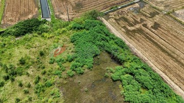 台中清水農地套房價讓你成為田僑仔｜台中市清水區高西段