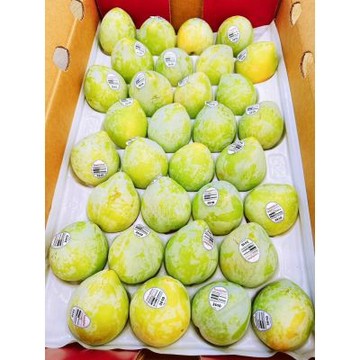 美國 加州 恐龍蛋｜美國進口水果   4顆 / 500g+-10%