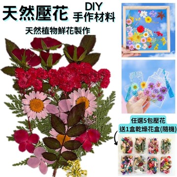 【A-ONE】花藝材料包 紅花綠葉 乾燥花 永生花 押花壓花 DIY書籤 標準包-紅花綠葉 BB05_廠商直送
