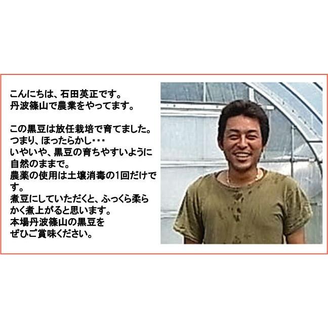 丹波篠山黒豆 200g 丹波 黒豆 丹波黒大豆 202３産 新豆 Ｌ〜２Ｌ