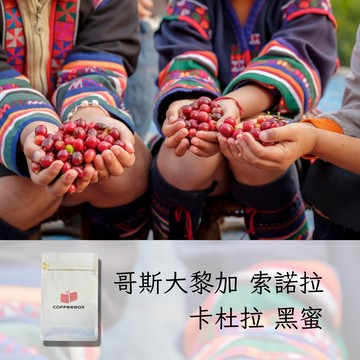 哥斯大黎加 索諾拉莊園 卡杜拉 黑蜜 中焙 (半磅)【柏克斯咖啡】