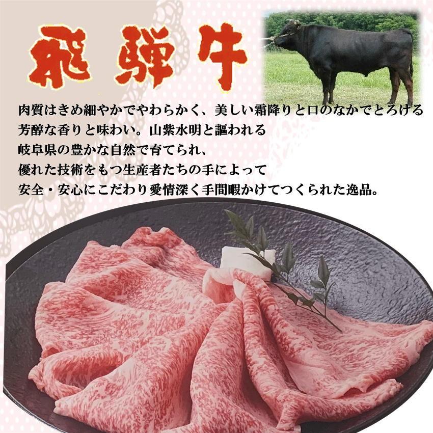 ステーキ肉 ギフト 飛騨牛 サーロイン ステーキ 200g × 2枚  化粧箱入 a5 お肉 黒毛和牛 鉄板 焼肉 父の日 お歳暮 敬老の日