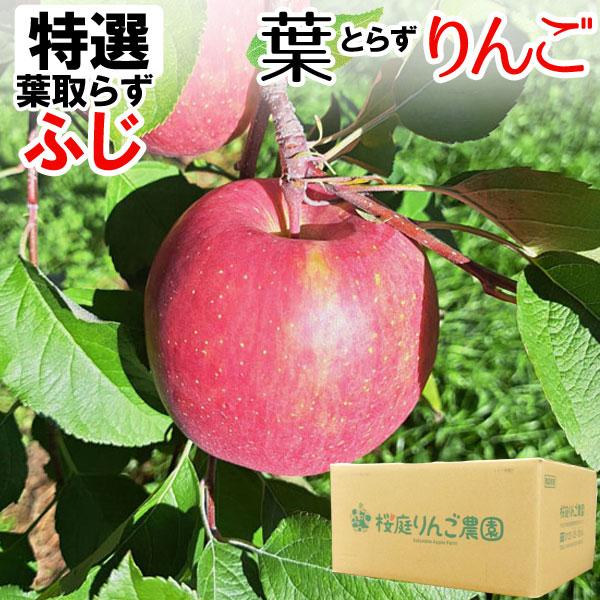 特選 無袋栽培葉とらずふじ 青森産りんご（約5kg）無化学肥料 桜庭りんご農園 直送につき代引・同梱不可 12月新商品