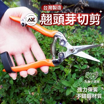 AXL 園藝修枝剪 花藝剪刀 農用剪刀 輕量省力不鏽鋼芽切剪｜修枝/芽枝/盆栽專用 |長刃翹頭設計 (台灣製造)