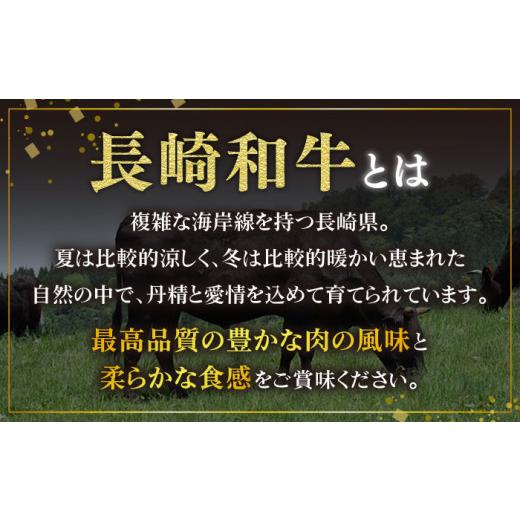 ふるさと納税 長崎県 東彼杵町 長崎和牛 シャトーブリアン ステーキ用 (200g×4) 計 800g ／ ステーキ肉 ヒレ 赤身 牛肉 和牛 焼肉 [BAJ087]