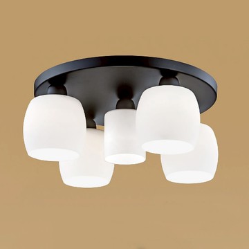 燈罩式吸頂五燈 B260-64-74282