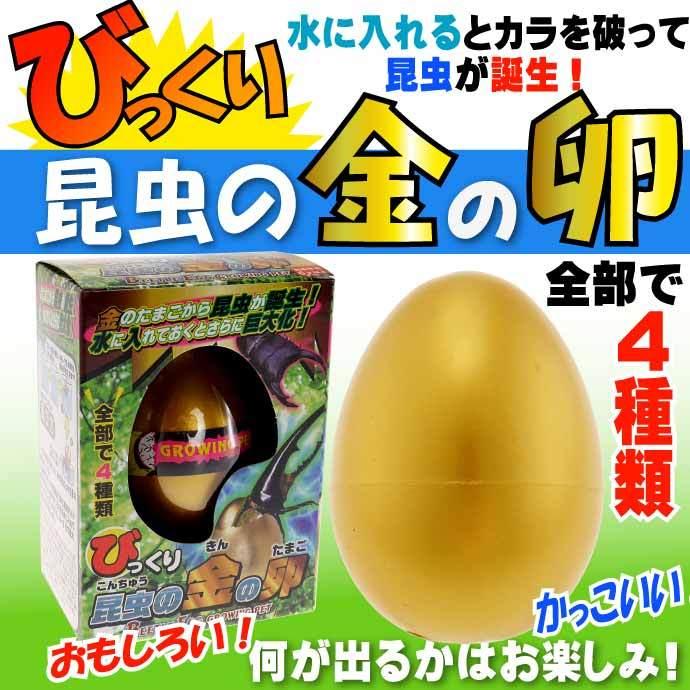 びっくり昆虫の金の卵 カブトムシ＆クワガタ No.206-670 株式