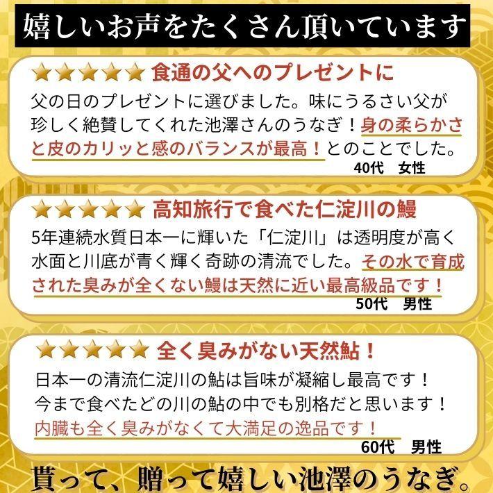 高知県産 仁淀川 うなぎ 蒲焼き 天然鮎 仁淀川堪能セット 国産 完全無投薬 ギフト 贈答