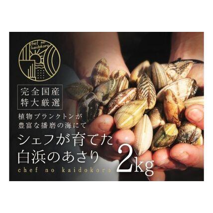 ふるさと納税 令和6年2月出荷 先行予約 シェフが育てた白浜の活あさり2kg  兵庫県姫路市