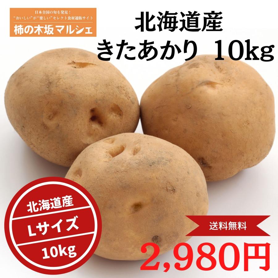 北海道産　柿の木坂マルシェ　Lサイズ　km20003-3　１０ｋｇ　じゃがいも　キタアカリ　きたあかり　野菜　甘い　ホクホク　ジャガイモ　LINEショッピング