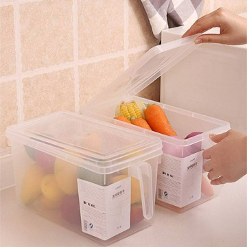 全新 【一組2個】FaSoL冰箱保鮮盒 廚房收納 密封盒 雜糧乾果儲物塑膠透明 冰箱果蔬收納盒 手柄冰箱冷藏盒 收納盒