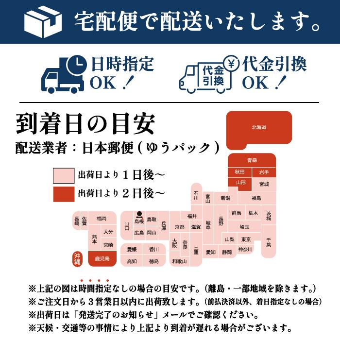 出雲そば 蕎麦 そば お徳用 送料無料 10人前 出雲袋そば 5袋 つゆ付 お取り寄せ グルメ 家庭用