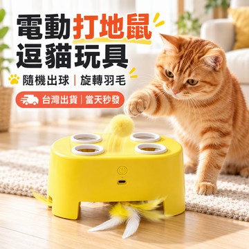 台灣出貨🔥 貓咪打地鼠玩具 逗貓玩具 奶酪屋 羽毛玩具 旋轉羽毛 貓咪自嗨捕獵玩具 貓玩具 貓咪玩具 寵物玩具 隨機出洞