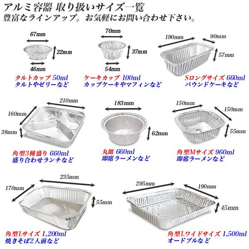 テイクアウト 容器 10個セット 蓋つき 使い捨て容器 フードパック