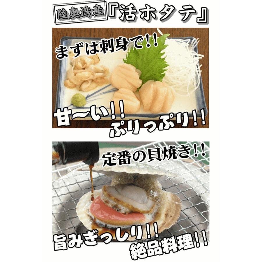 青森 ホタテ 殻付き 活ほたて 大サイズ3キロ 送料無料 青森 陸奥 貝柱が美味 ほたて 3kg（約12枚-18枚）お取り寄せ 海産