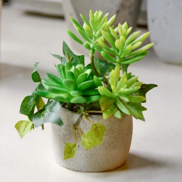 Meric Garden 高仿真多肉植物療癒手工水泥小盆栽 福娘石蓮特製款  1個  綠色
