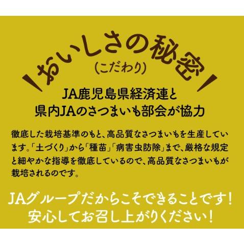 冷凍食品 種子島産 安納 やきいも 500g 5から8個 甘くてしっとり 安納芋 種子島  安納芋焼き芋 ご褒美