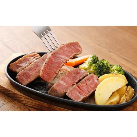 ふるさと納税  あか牛 ヒレ 肉 800g(6枚前後)、馬刺し300g(赤身100g 霜降り100g たてがみ100g) 食べ比べ セット 熊本県水俣市