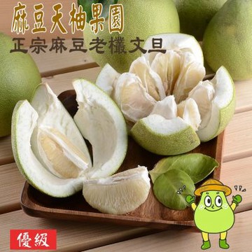 麻豆天柚果園 優級文旦5斤/箱 (約5-8顆/箱) (中秋預購)