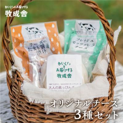 ふるさと納税 飛騨市 ＜明治30年創業の牛乳屋・牧成舎＞飛騨のチーズセット(3個入り)