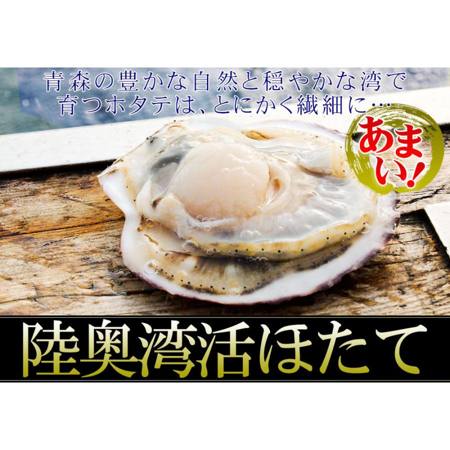 青森県陸奥湾産 ナマコ と ホタテ のセット 送料無料  なまこ ほたて を直送 [※クール便][※他商品と同梱不可]