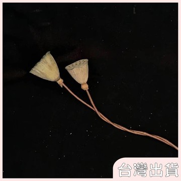 ✨臺灣出貨✨【飾飾如意】天然蓮蓬髮簪禪意風乾蓮蓬新中式髮飾髮簪