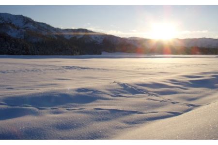 無洗米雪室貯蔵・南魚沼産コシヒカリ