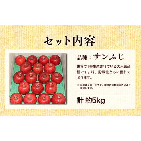 ふるさと納税 ふじむら農園の盛岡りんご『サンふじ』約5kg（ご家庭用） 岩手県盛岡市