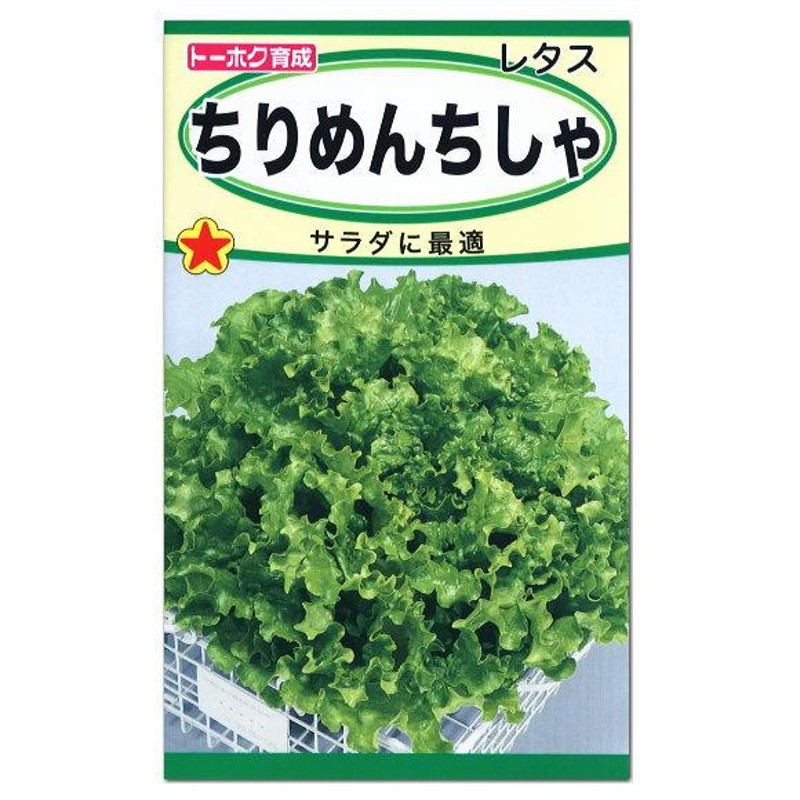 トーホク ちりめんちしゃ 種 家庭菜園 葉チシャ プランター栽培 レタスのタネ 野菜 たね メール便対応 LINEショッピング