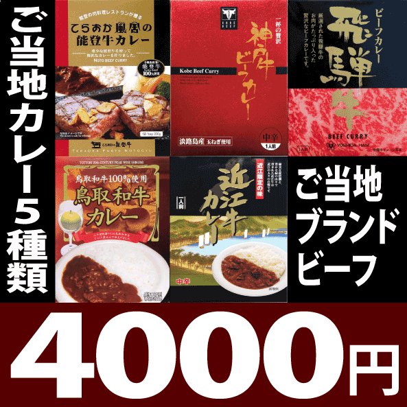 地カレー家特選☆ブランド牛4000円セット☆レトルト 詰め合わせ