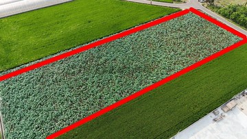 文化路尾三角窗方正美農地｜嘉義縣民雄鄉牛稠溪