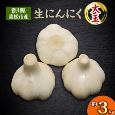 大玉 生にんにく　約3kg