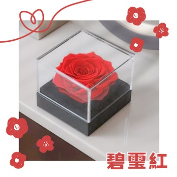【花花市集】花花市集 情人節送禮 聖誕節交換禮物 生日禮物 FOREVER 永生恆星花 - 碧璽紅