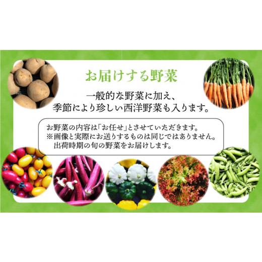 ふるさと納税 福岡県 糸島市 お 米 2kg  野菜 7品 の セット 糸島市 ／ オーガニックナ…