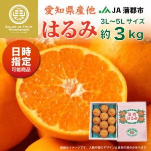 [予約 2023年2 1から日時指定可] はるみ 約3kg 3L-5Lサイズ 大玉 7-10玉 愛知県産ほか JA蒲郡市 化粧箱 はるみみかん 高糖度柑橘 蒲郡産