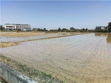 投資價【觀音藍埔田2489坪/可單買】一分鐘上66｜桃園市觀音區藍埔段