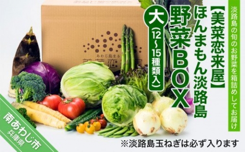 ほんまもん淡路島野菜BOX（大）