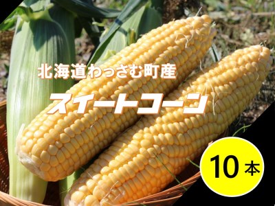 ≪令和6年産≫和寒産スイートコーン（10本セット）