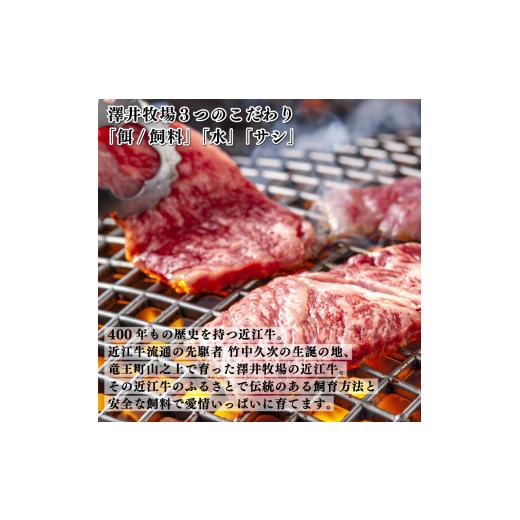 ふるさと納税 滋賀県 竜王町 近江牛 焼肉用 盛り合わせ 400g  牛肉 霜降り 肉 国産 ブランド牛 三大和牛 和牛 黒毛和牛 贈り物 ギフト 冷凍 産地直送 神戸牛 …