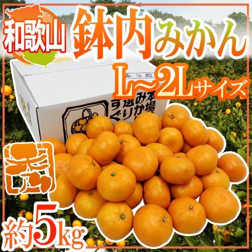 みかん 和歌山・有田産 ”鉢内みかん” 秀品 L〜2Lサイズ 約5kg はちうちみかん 送料無料