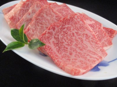 A5 A4 佐賀牛 肩ロース 焼肉用 500g J370