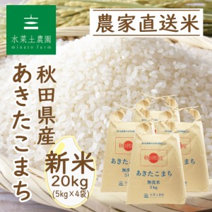 新米 令和5年産 米 お米 無洗米 20kg (5kg×4袋) 秋田県産 あきたこまち