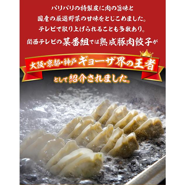 マルシン飯店 生餃子6箱セット 送料無料 1箱20個入×6箱 生餃子 ギョーザ 中華 お取り寄せ 冷凍食品 クール代込 (産直)