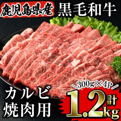 ふるさと納税 曽於市 鹿児島県産黒毛和牛カルビ焼肉 1.2kg