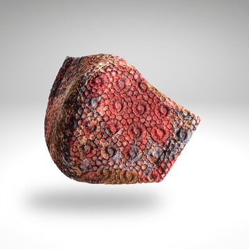 PSNY Shivam 蕾絲橙花粉過濾面具 繪畫般的藝術設計 舞台服裝 婚禮 RS08