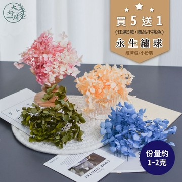 大好屋 台灣現貨 永生繡球花 5送1 小份量經濟包 1-2克裝 進口永生安娜繡球 永生木繡球 DIY 浮游花 短支花材